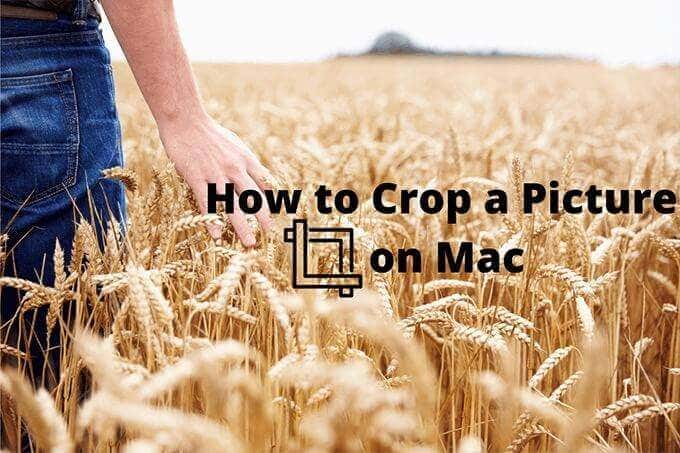 How to crop an image on Mac