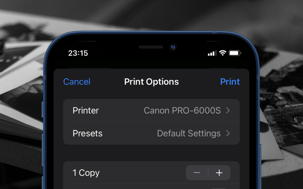 iPhone print options screen